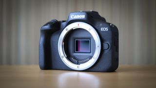 Canon EOS R100 camera on table with striped background