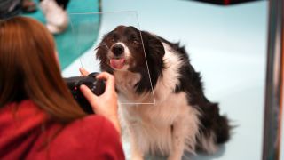 The dogs that stole our hearts at The Photography and Video Show 2022